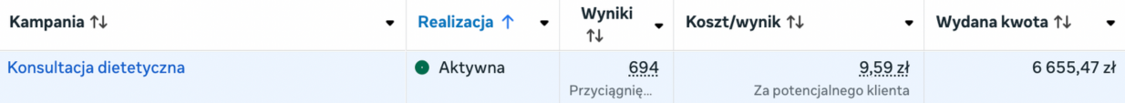 Wyniki kampanii leadowej 2