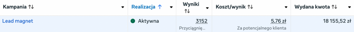 Wyniki kampanii leadowej 3