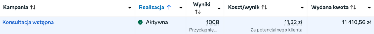 Wyniki kampanii leadowej 4