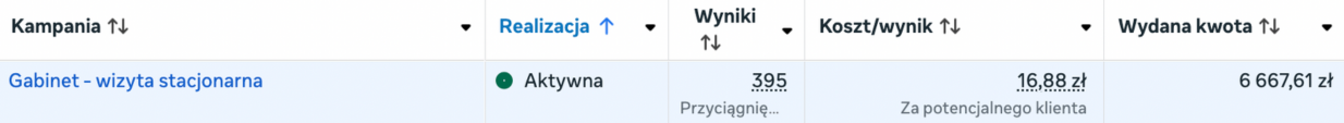 Wyniki kampanii leadowej 7