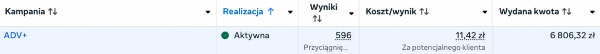 Wyniki kampanii leadowej 8