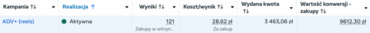 Wyniki kampanii sprzedażowej 6
